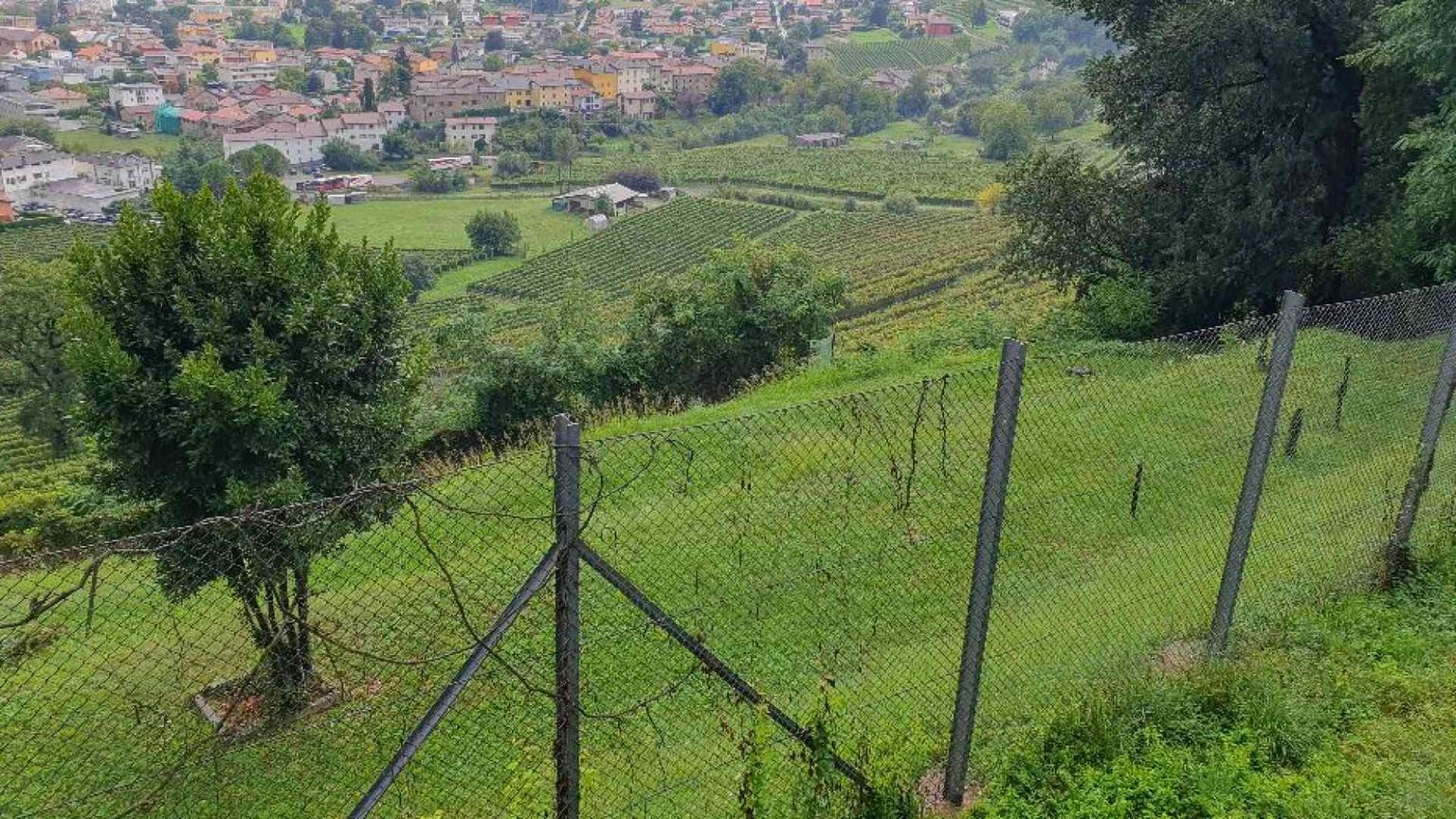 Gli eroi di Clivio che aiutarono ebrei e perseguitati a sfuggire ai nazifascisti