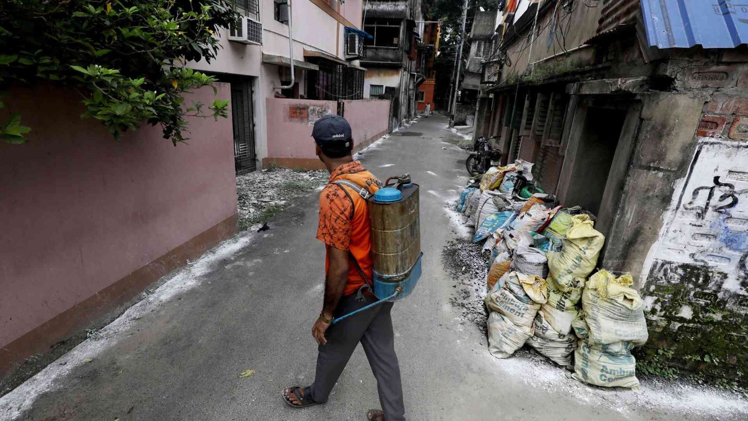 Allarme dengue, più di mille i morti dall'inizio dell'anno