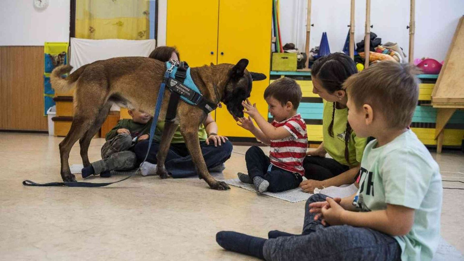 La pet therapy per gli hikikomori. Così cani e gatti aiutano le famiglie