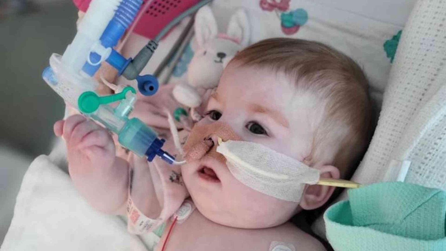 Indi, l'Italia ottiene un rinvio del distacco dalle macchine