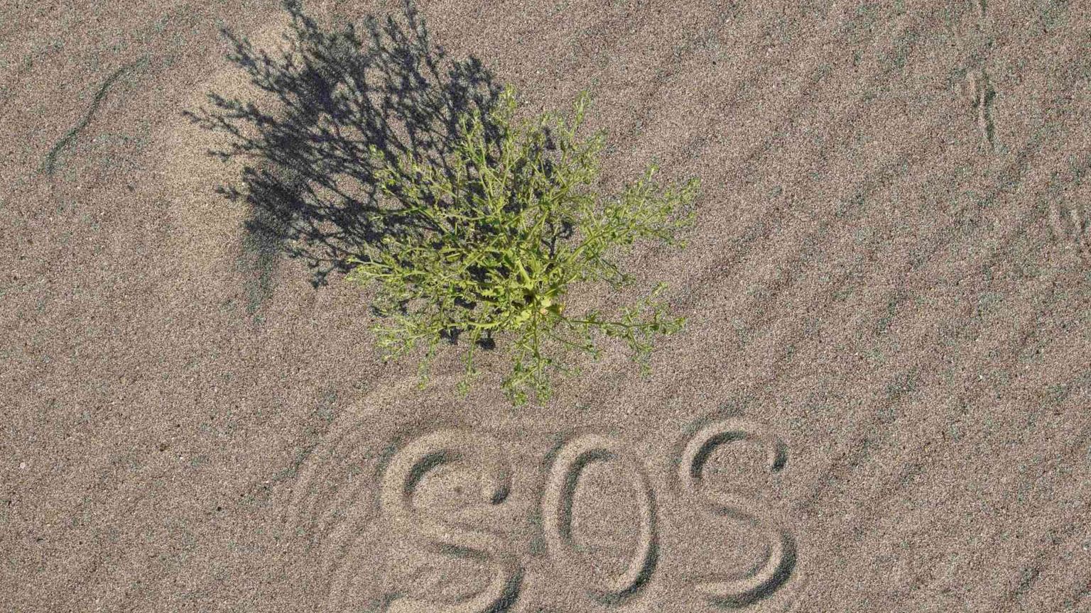 Sviluppo, clima e integrazione le priorità per gli italiani