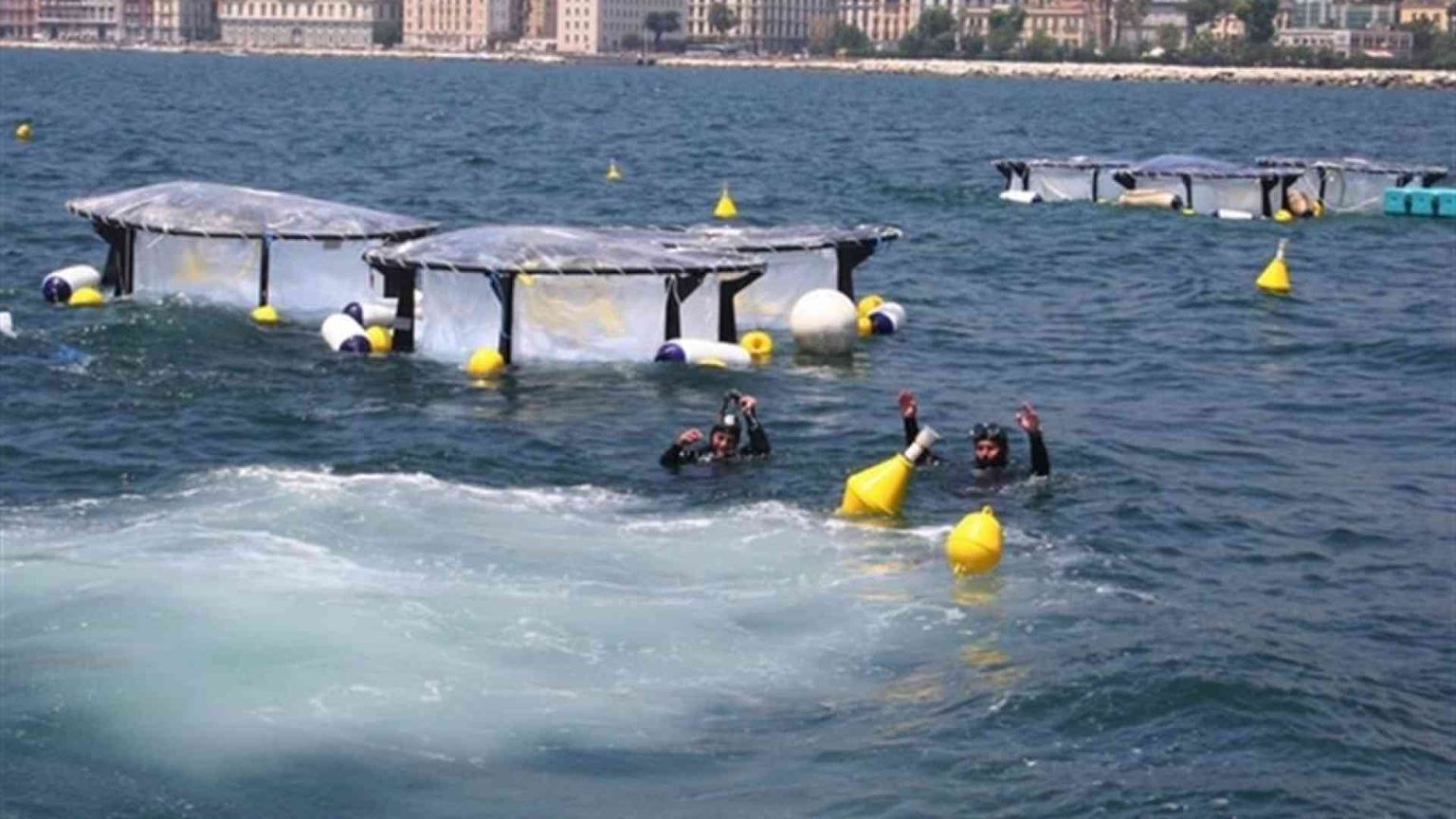 Trovare lavoro a contatto con la natura