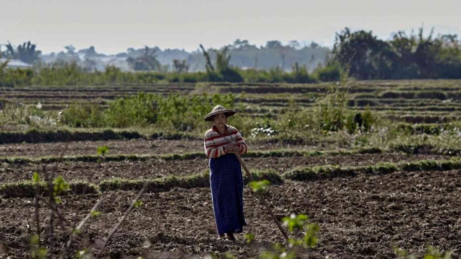 «Nel mondo 43 Paesi stanno morendo di fame»
