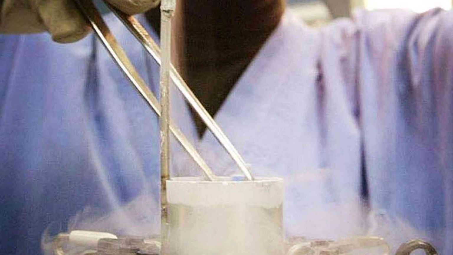 61mila embrioni congelati in un anno. E ora paga lo Stato