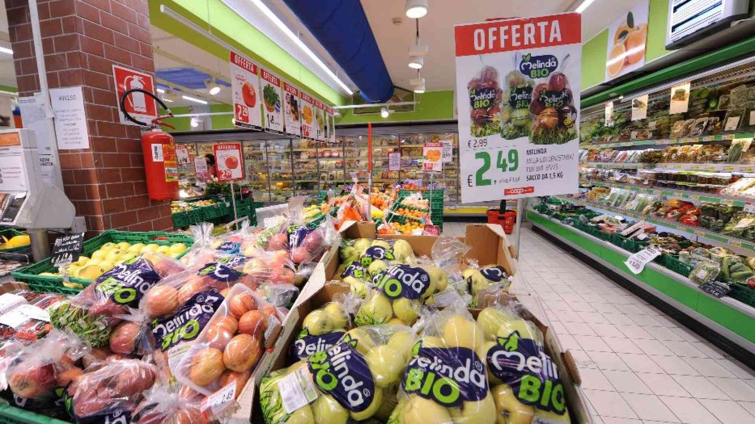 Discount e marchi dei supermercati sono gli unici a far volare i consumi