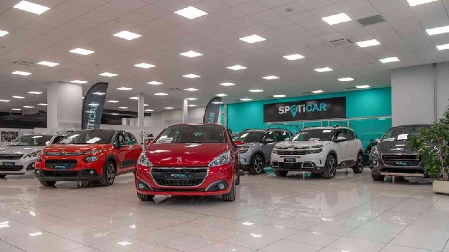 Stellantis e Spoticar, le auto usate sempre più in rete