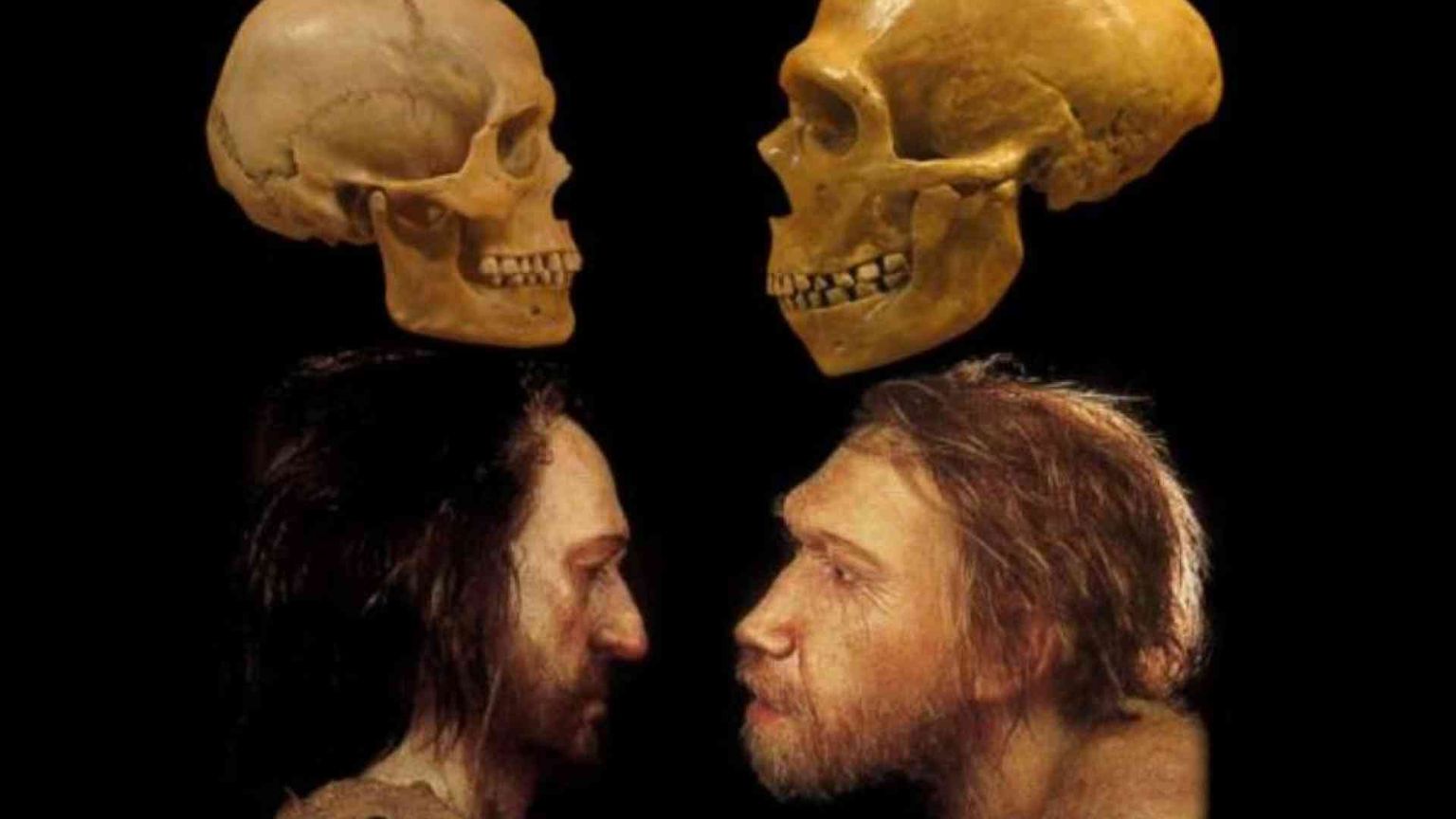 Sapiens e Neanderthal vicini di casa nell'era glaciale