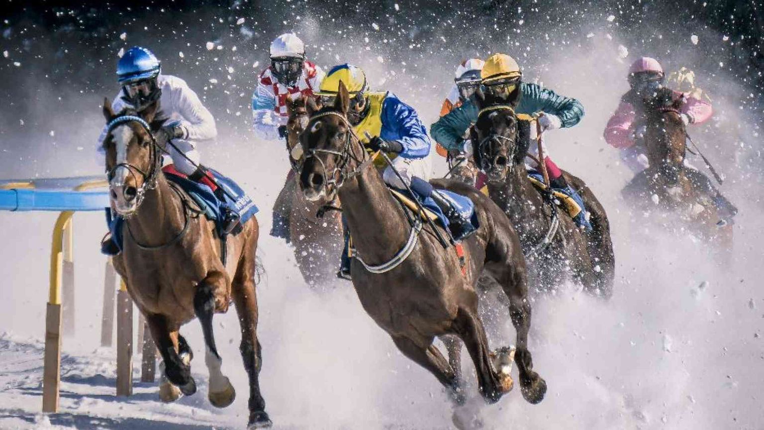 Darsi all’ippica per creare mondi: il caso Gerald Murnane