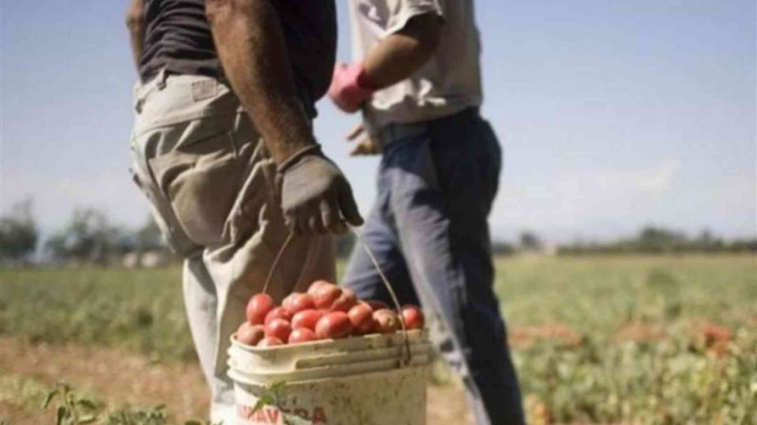 Caporalato, la vittoria di Balbir: «Giustizia per tutti gli sfruttati»