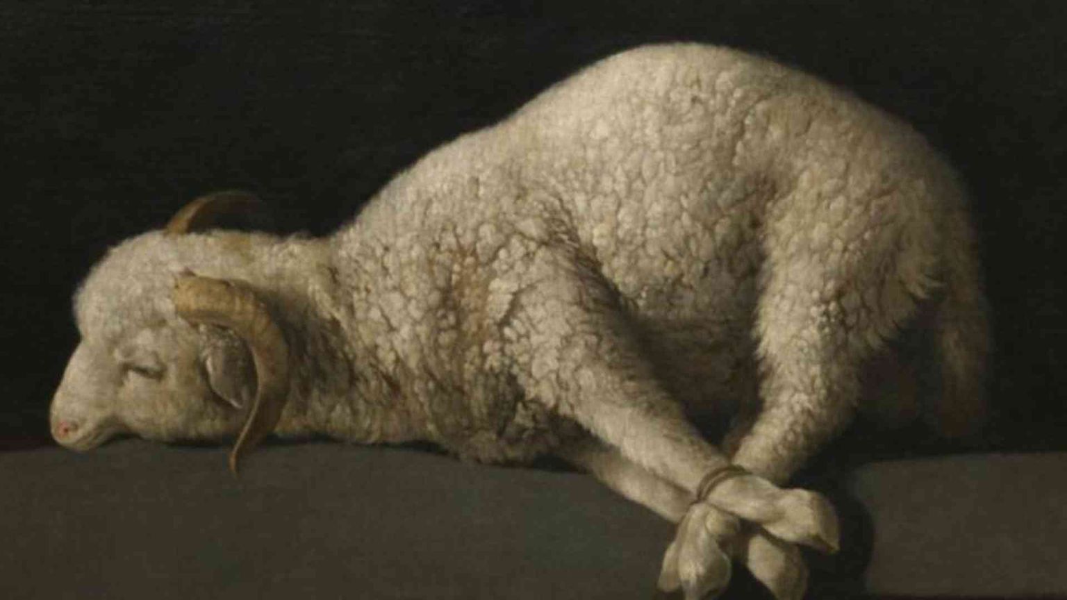 Con l’Incarnazione Dio salverà la creazione