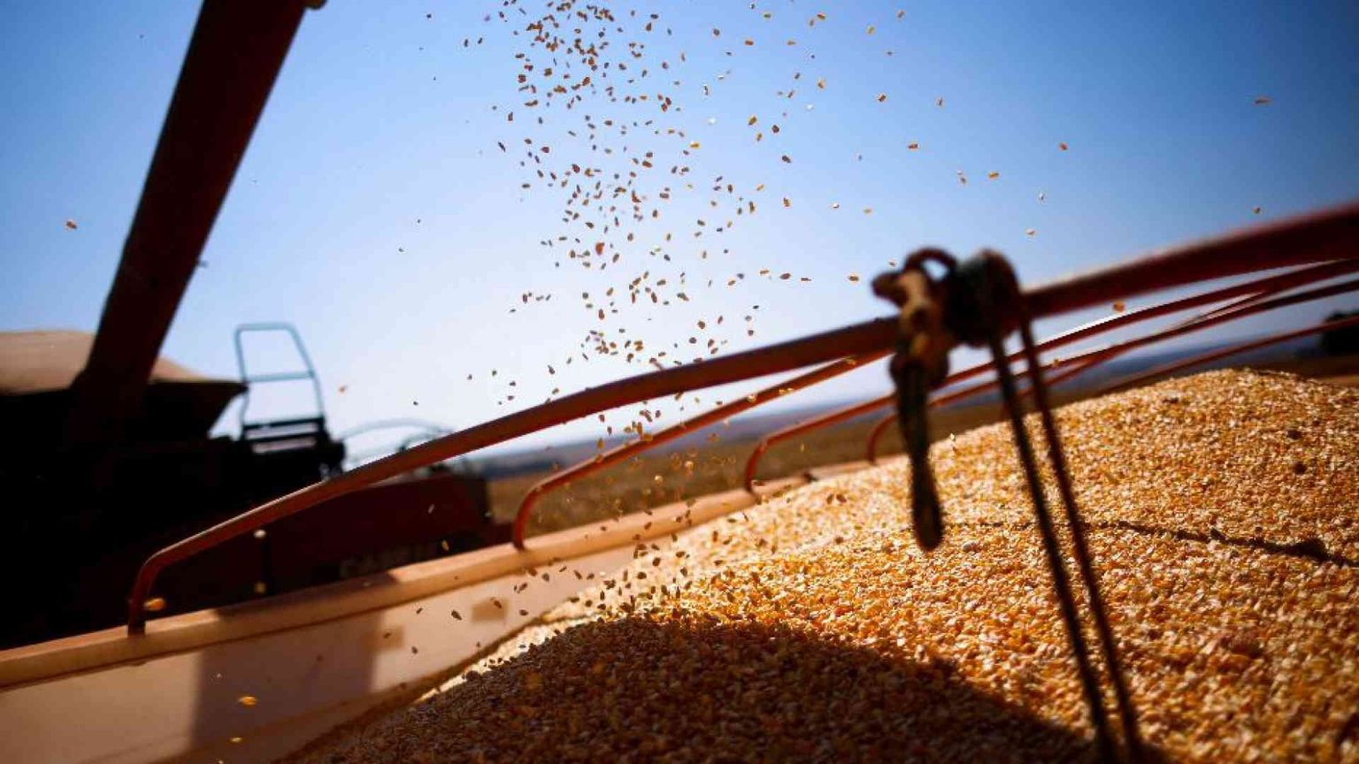 Pollo, soia e mais: così il Brasile è la grande fattoria della Cina