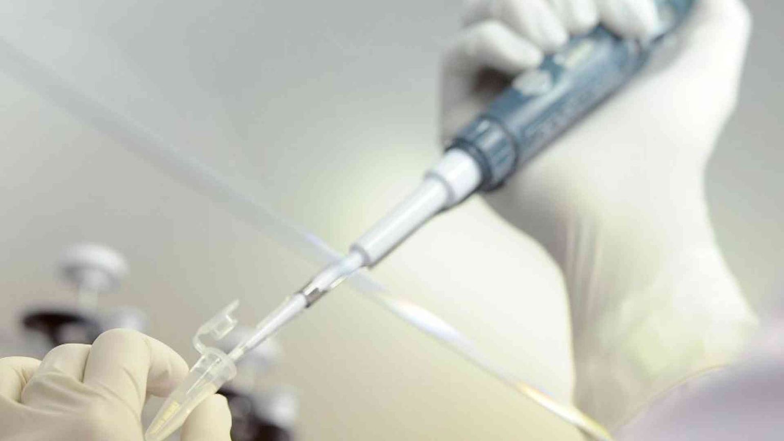 Antiterrorismo, sfida alle armi chimiche. Viaggio nel centro Antiveleni di Pavia