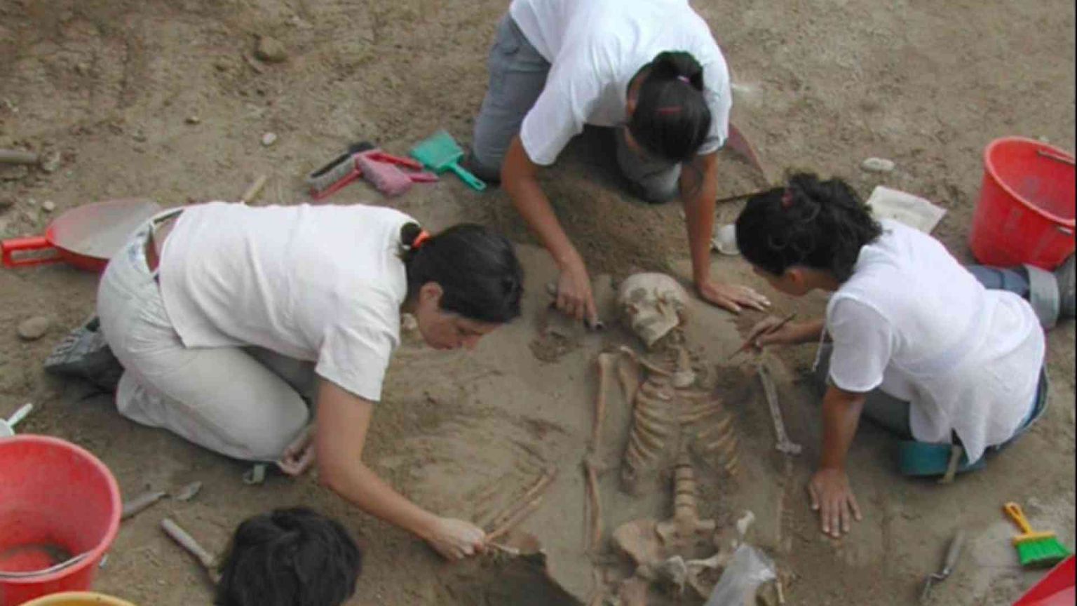 Resti di uomini e animali nella necropoli preromana di Verona