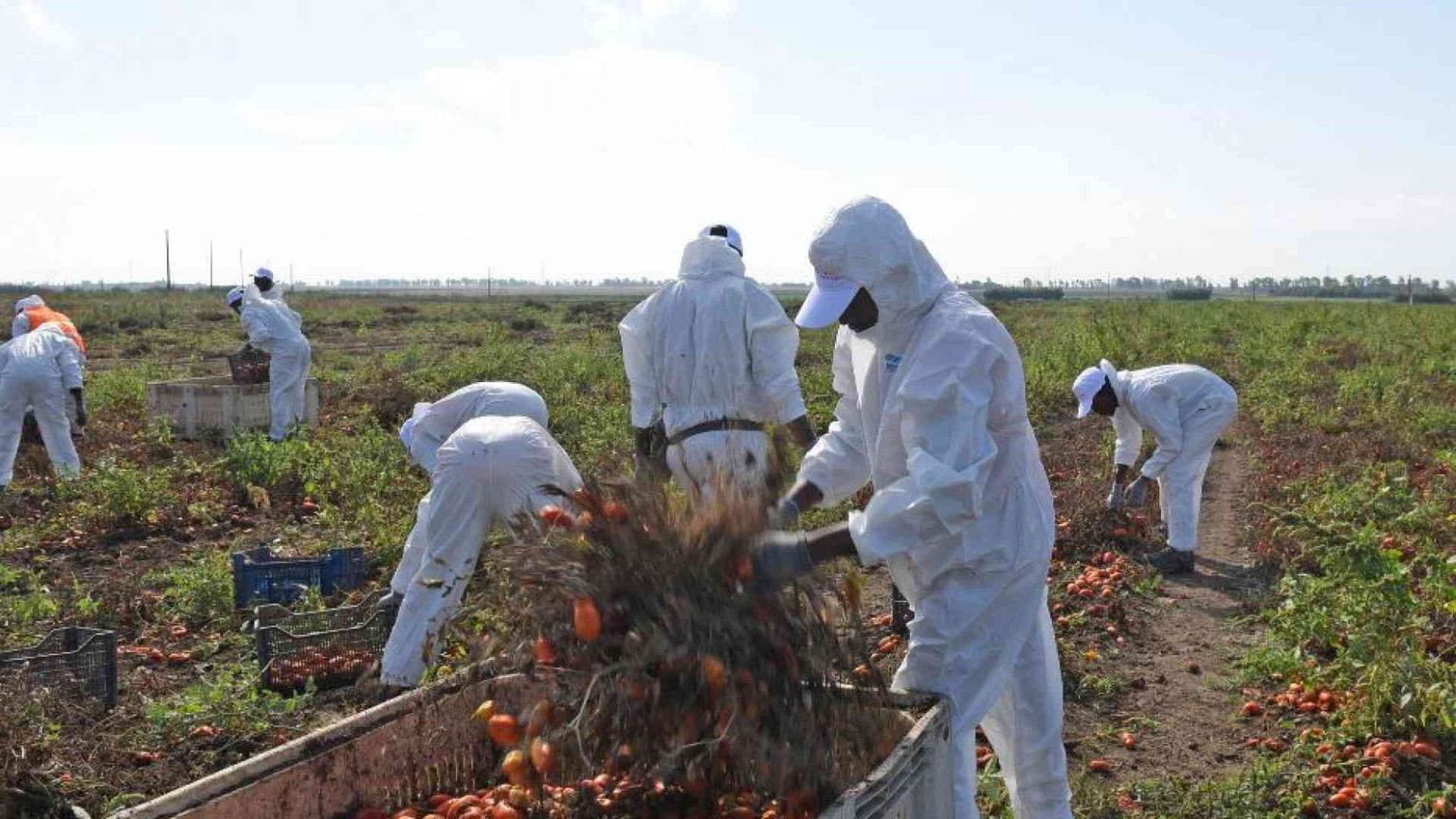 Braccianti maltrattati nel Casertano, si indaga sugli imprenditori