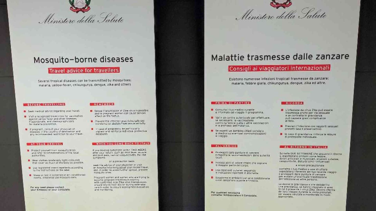 Allerta per la Dengue, ma al momento in Italia la situazione è sotto controllo