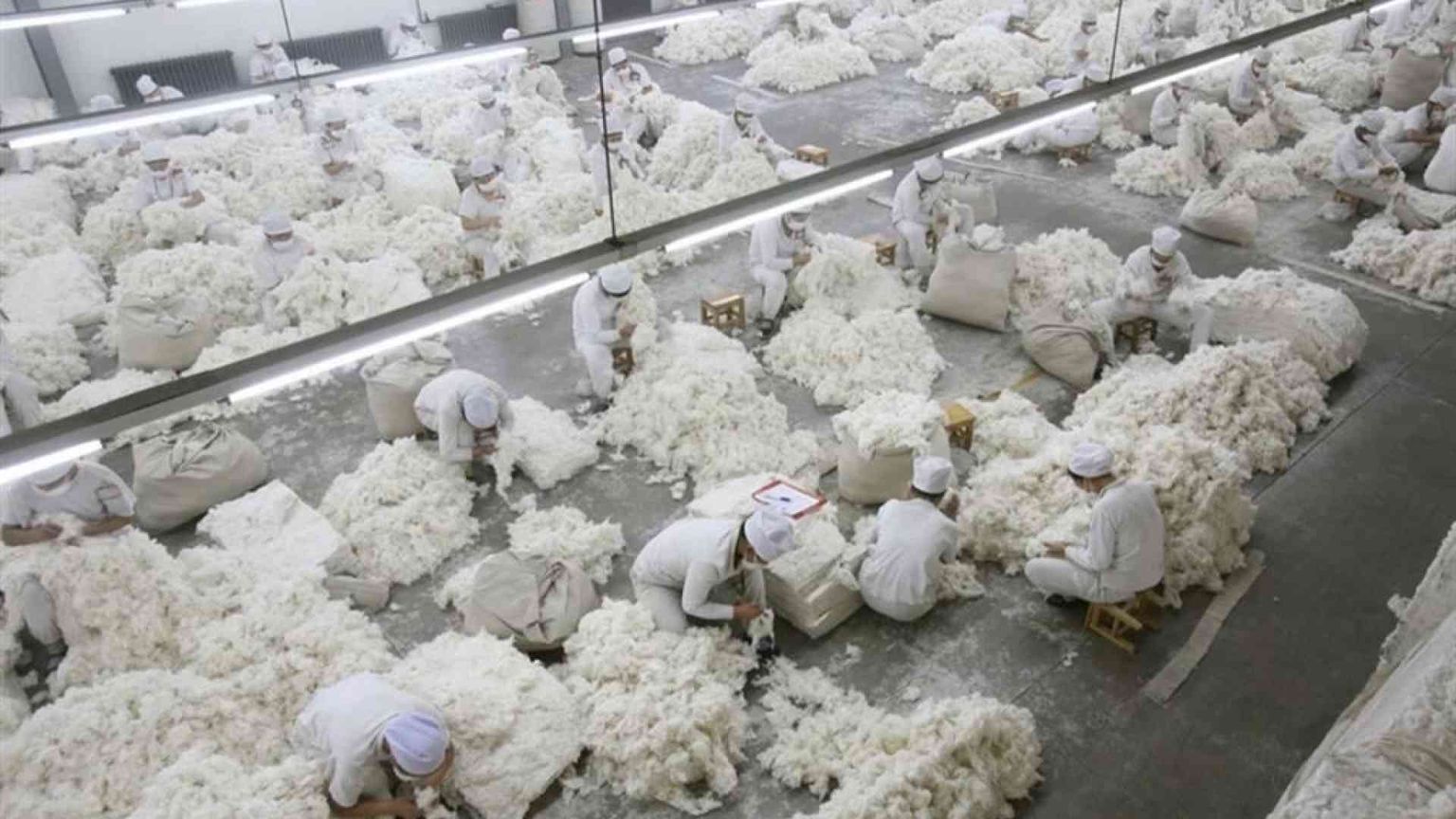 Direttiva due diligence bocciata: l'Ue non trova l'accordo