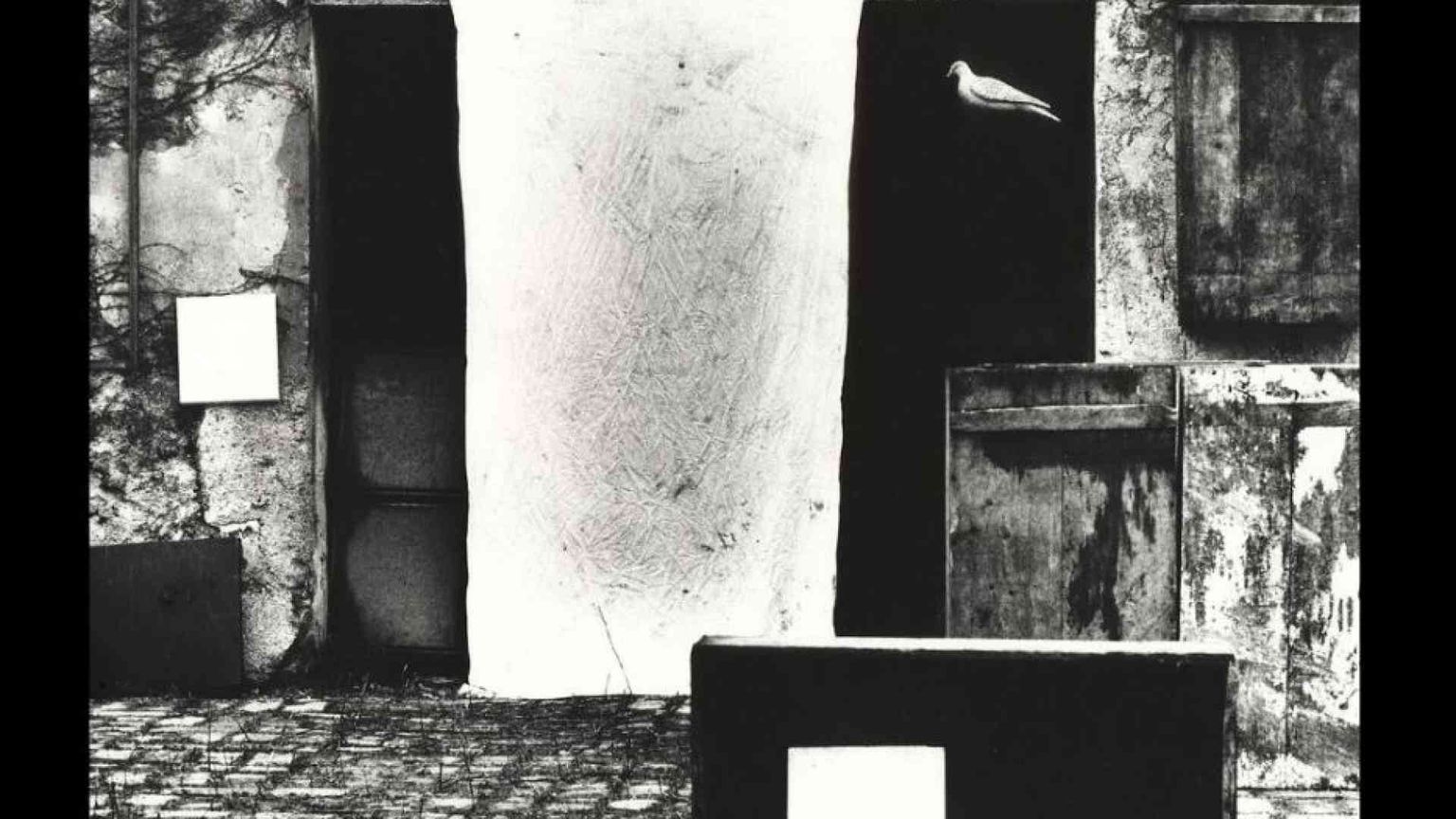 L’ultimo Giacomelli: un inno alla vita, fra sogno e realtà