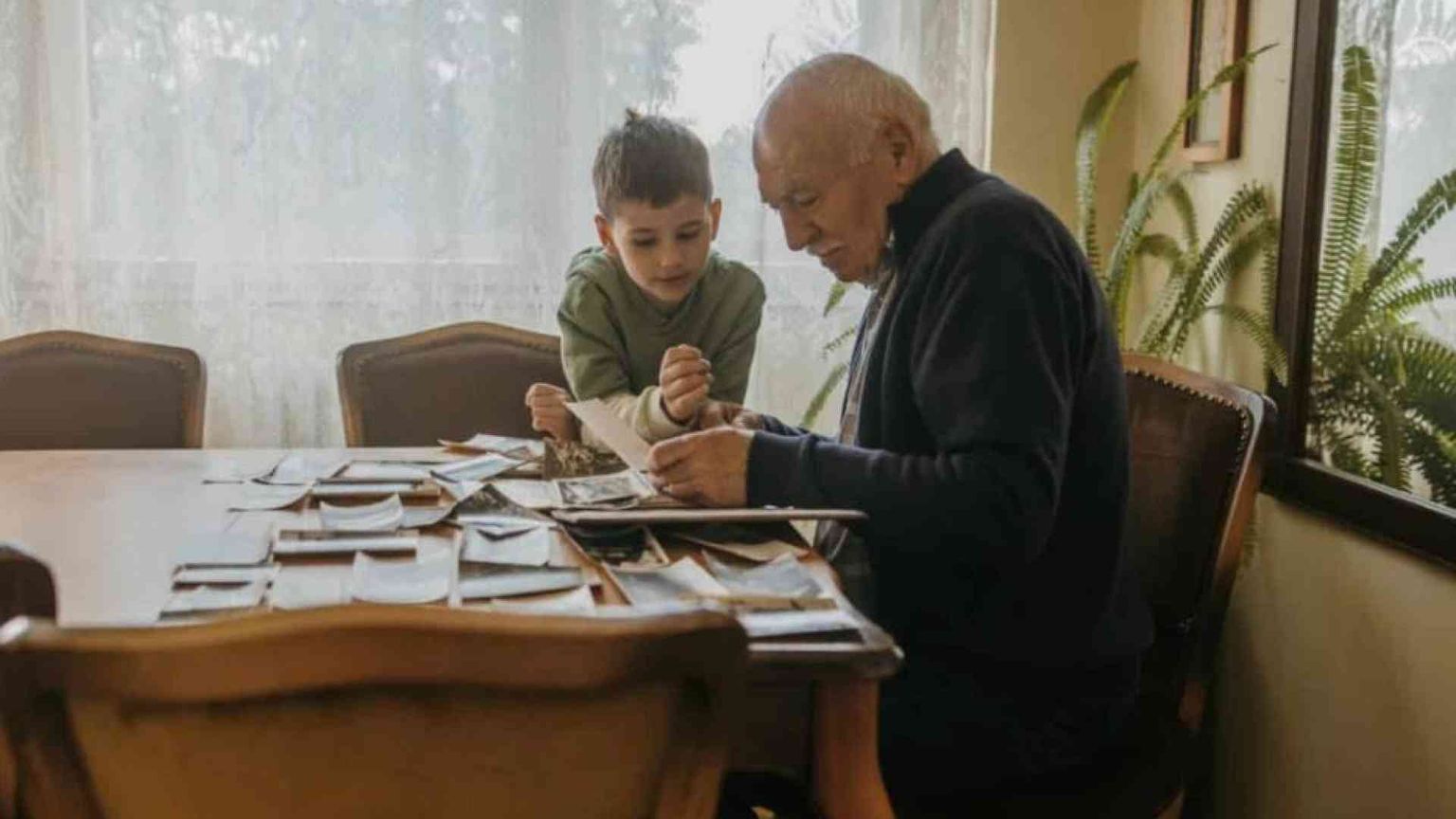«Nonno, spiegami perché c'è la guerra»: la memoria da custodire