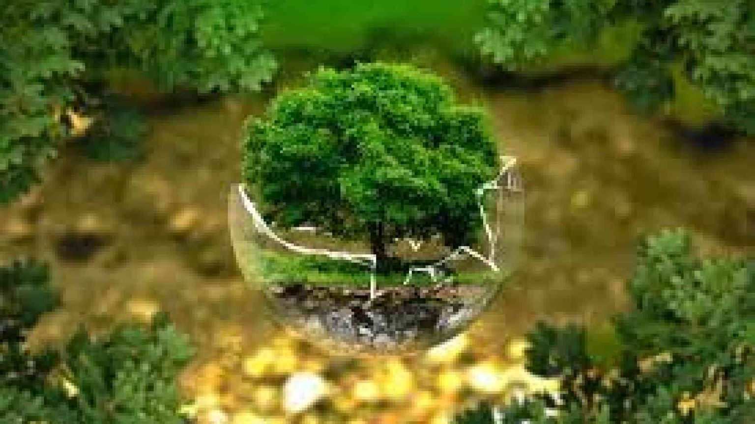 Emissioni zero, idrogeno verde e cattura della CO2 tra le ipotesi di frontiera