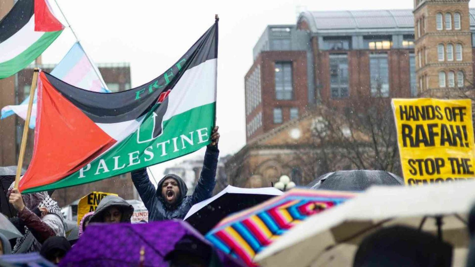 La cultura woke venata di gnosticismo condanna l'Occidente e sta con Hamas