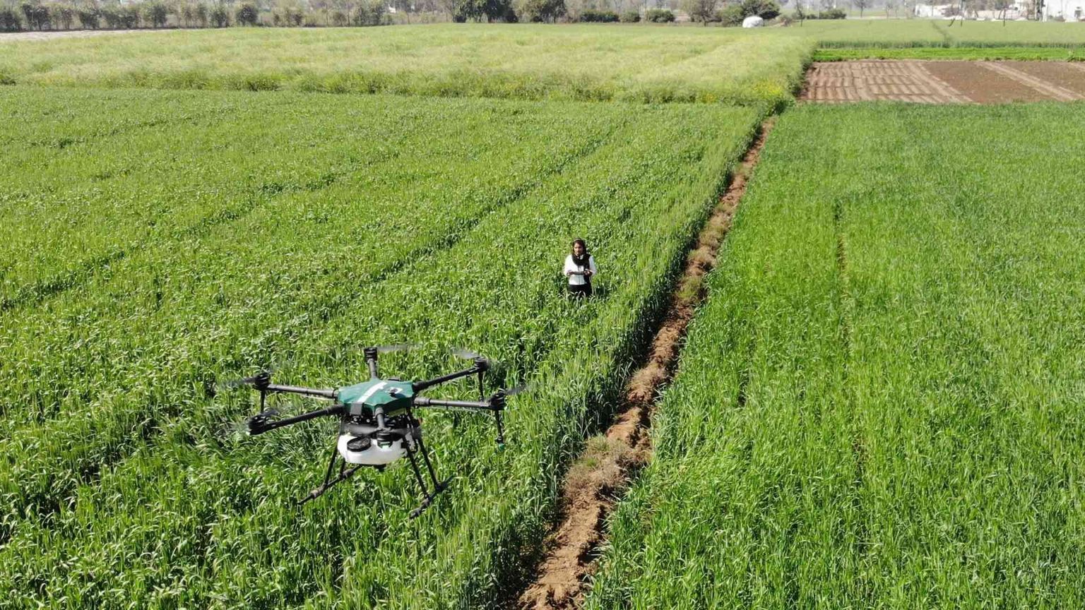 Campi rigenerati: oltre al biologico c'è di più