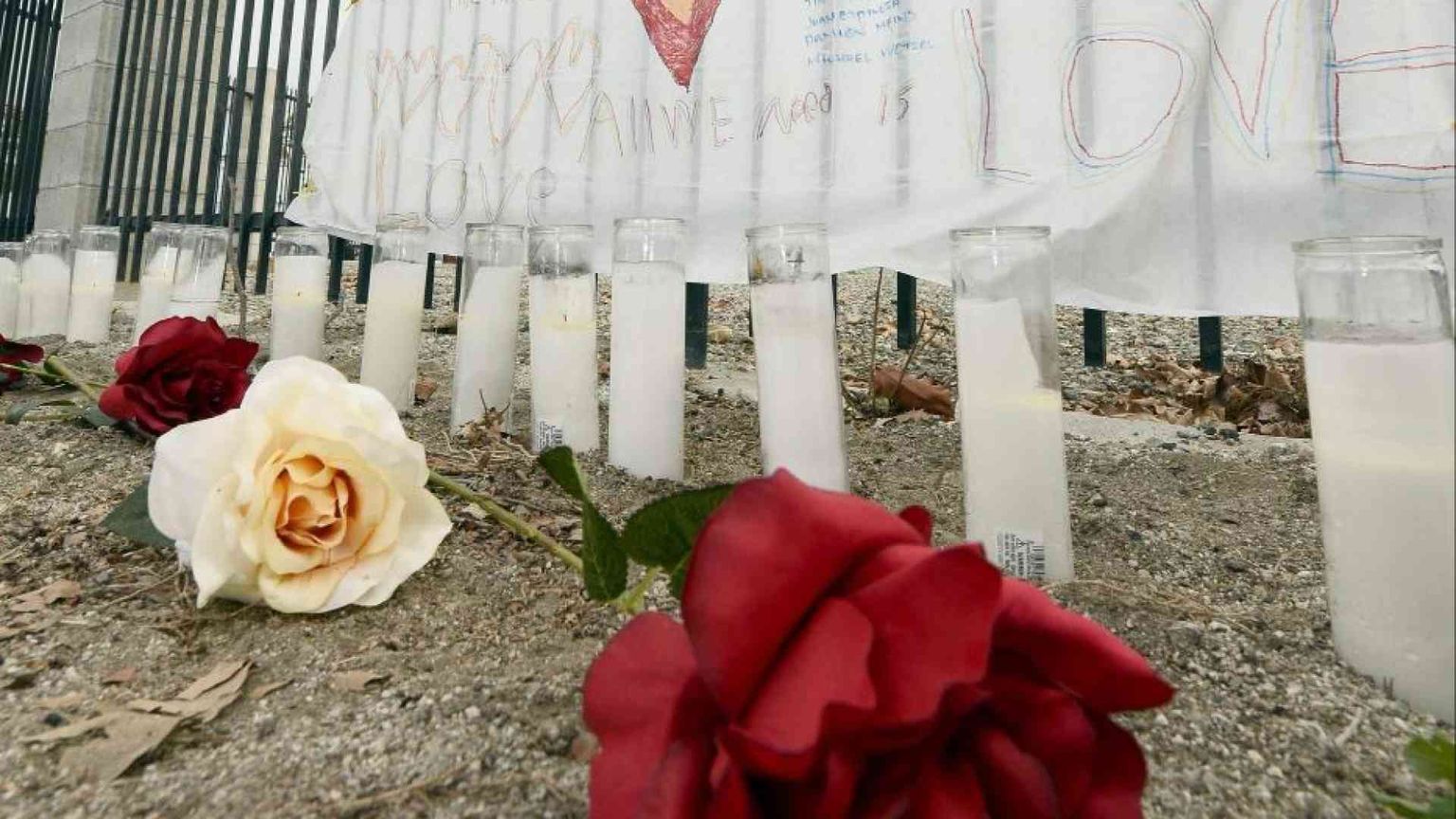 La polizia ha ucciso un ragazzino autistico che brandiva una zappa