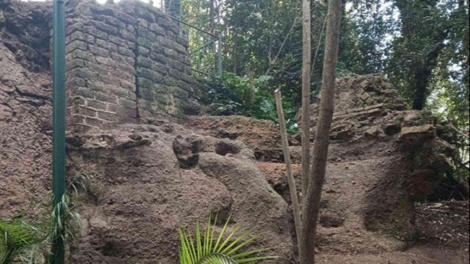 Nuove scoperte a Villa Floridiana svelano la storia del Vomero