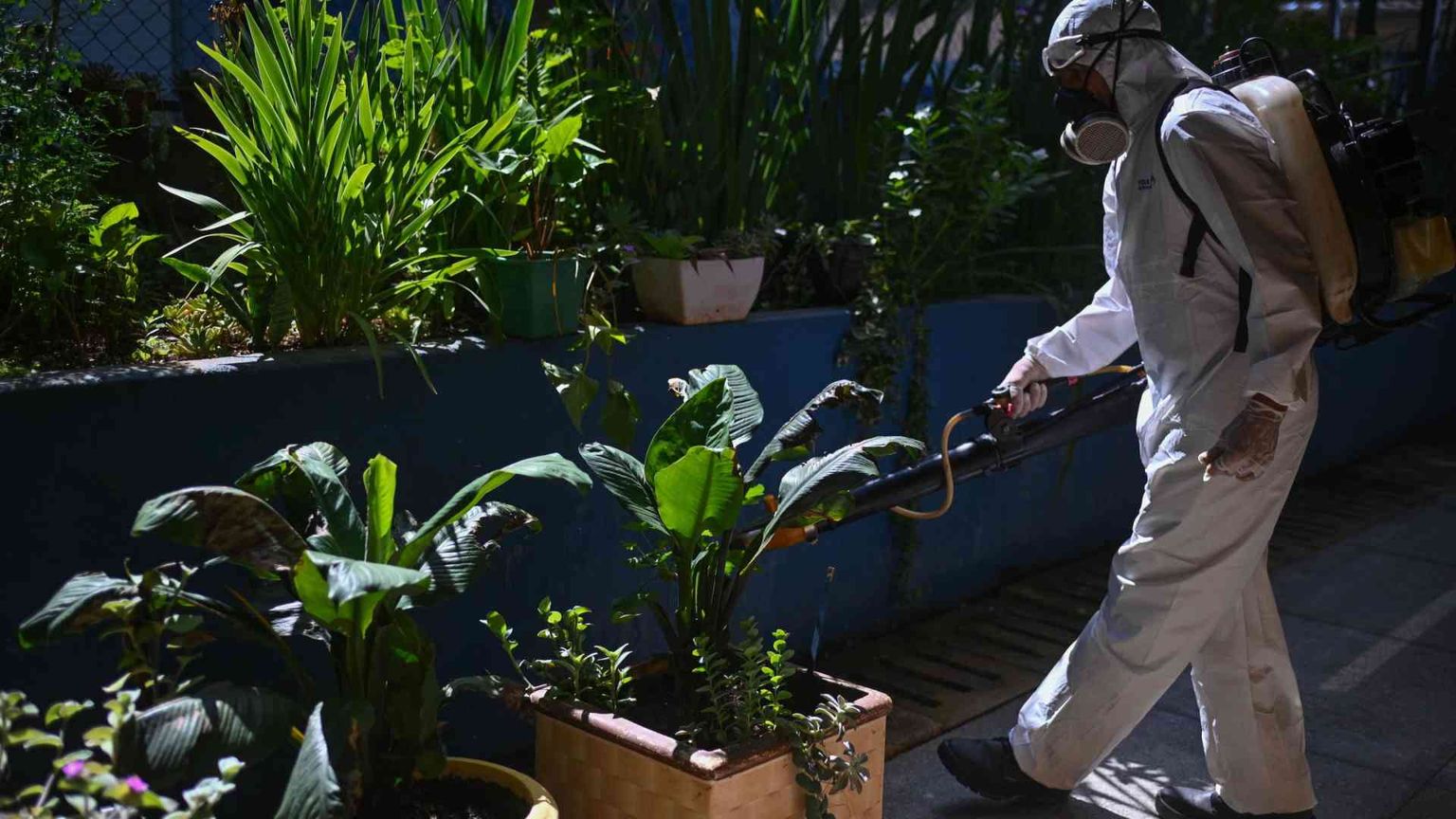 Il Brasile sfiora i due milioni di casi di dengue: il Paese è in emergenza