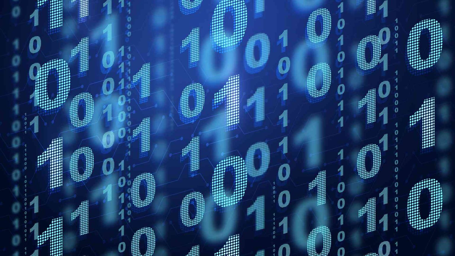 Il tifo da stadio per le guerre è rivelatore di un cervello primitivo