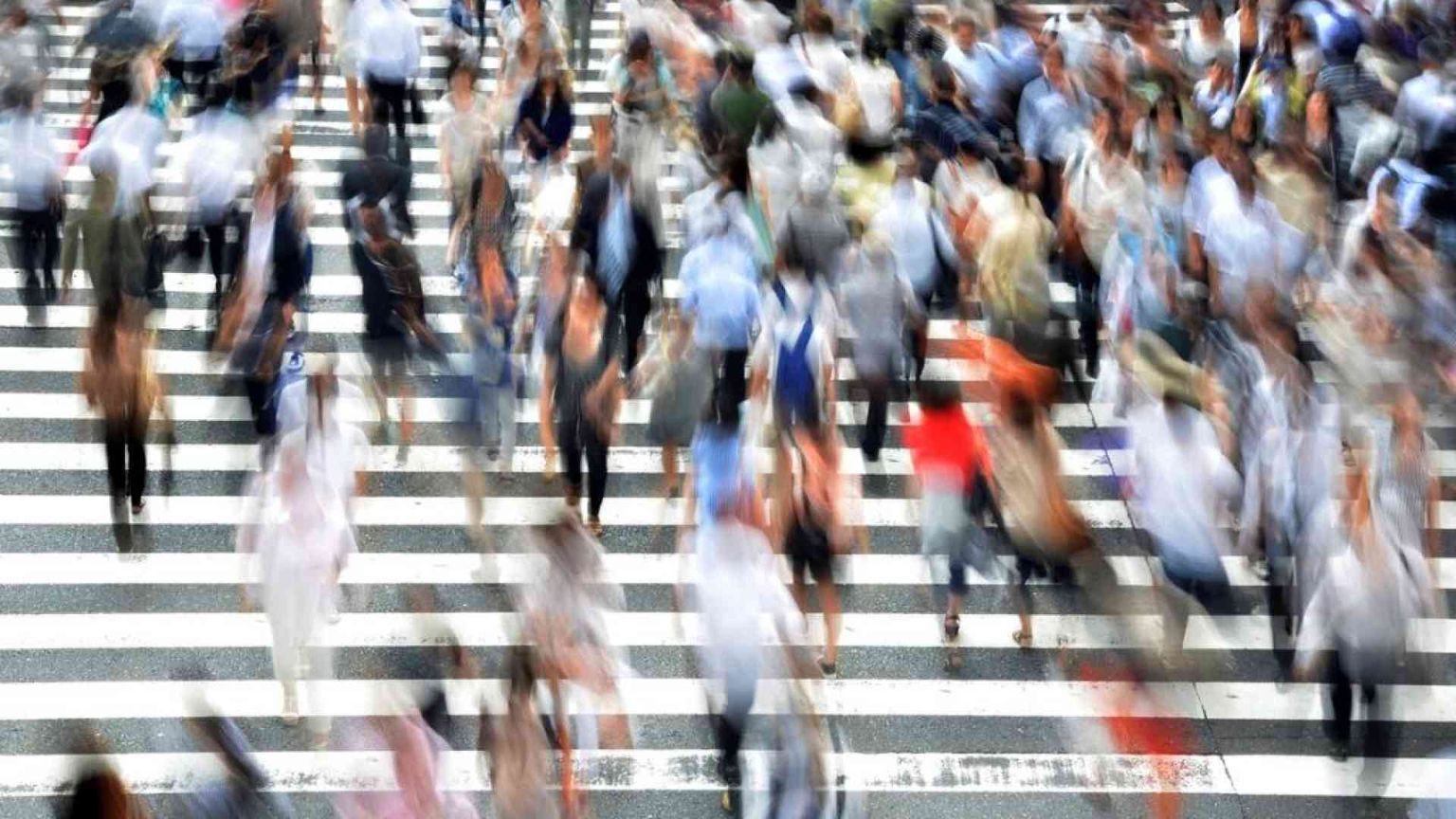 Boom delle B Corp in Italia: +41% nel 2023