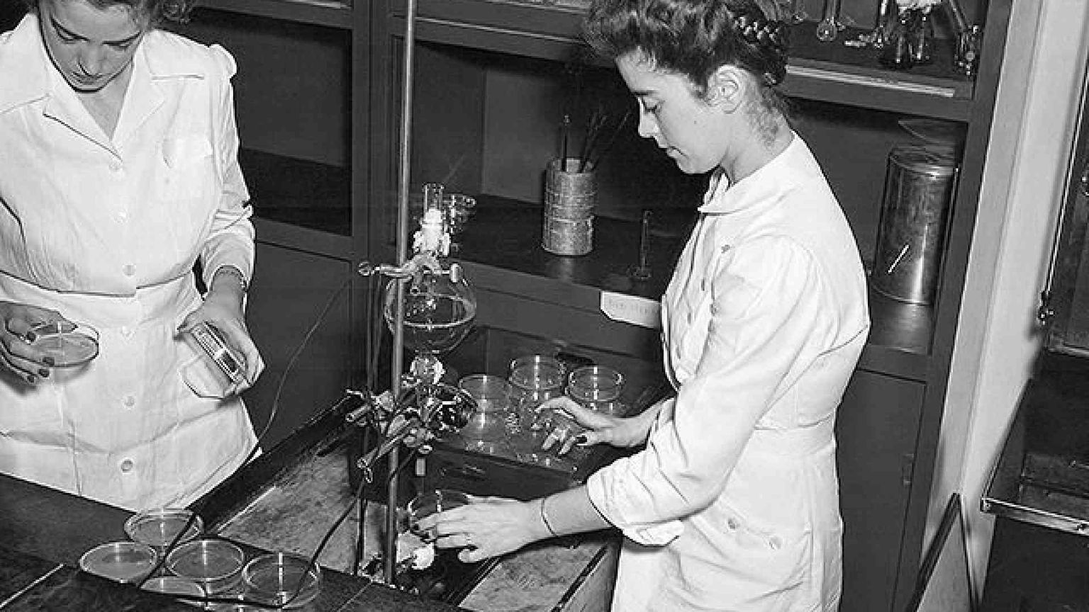 La storia delle donne che hanno allungato la vita all’uomo