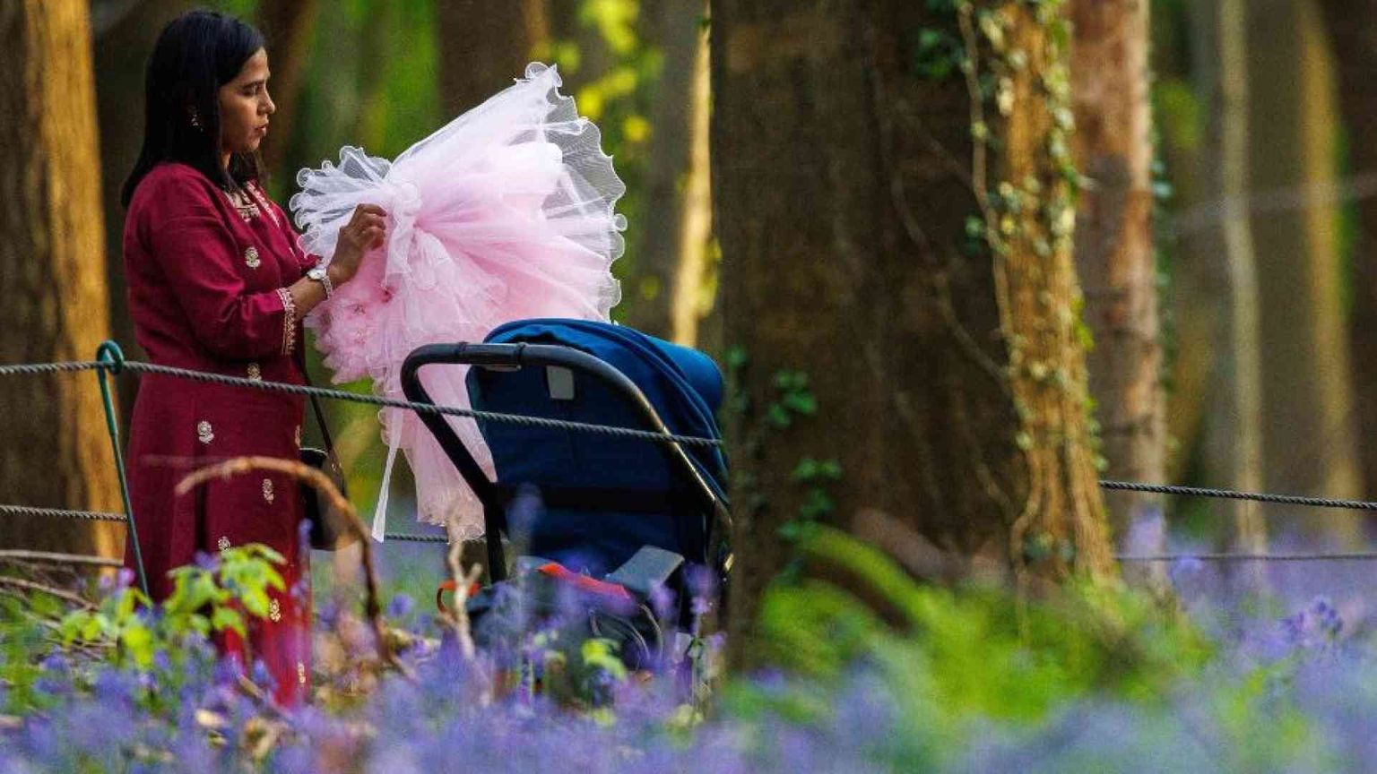 La sterilità non è più una "condanna": 50% di successi con la medicina riparativa
