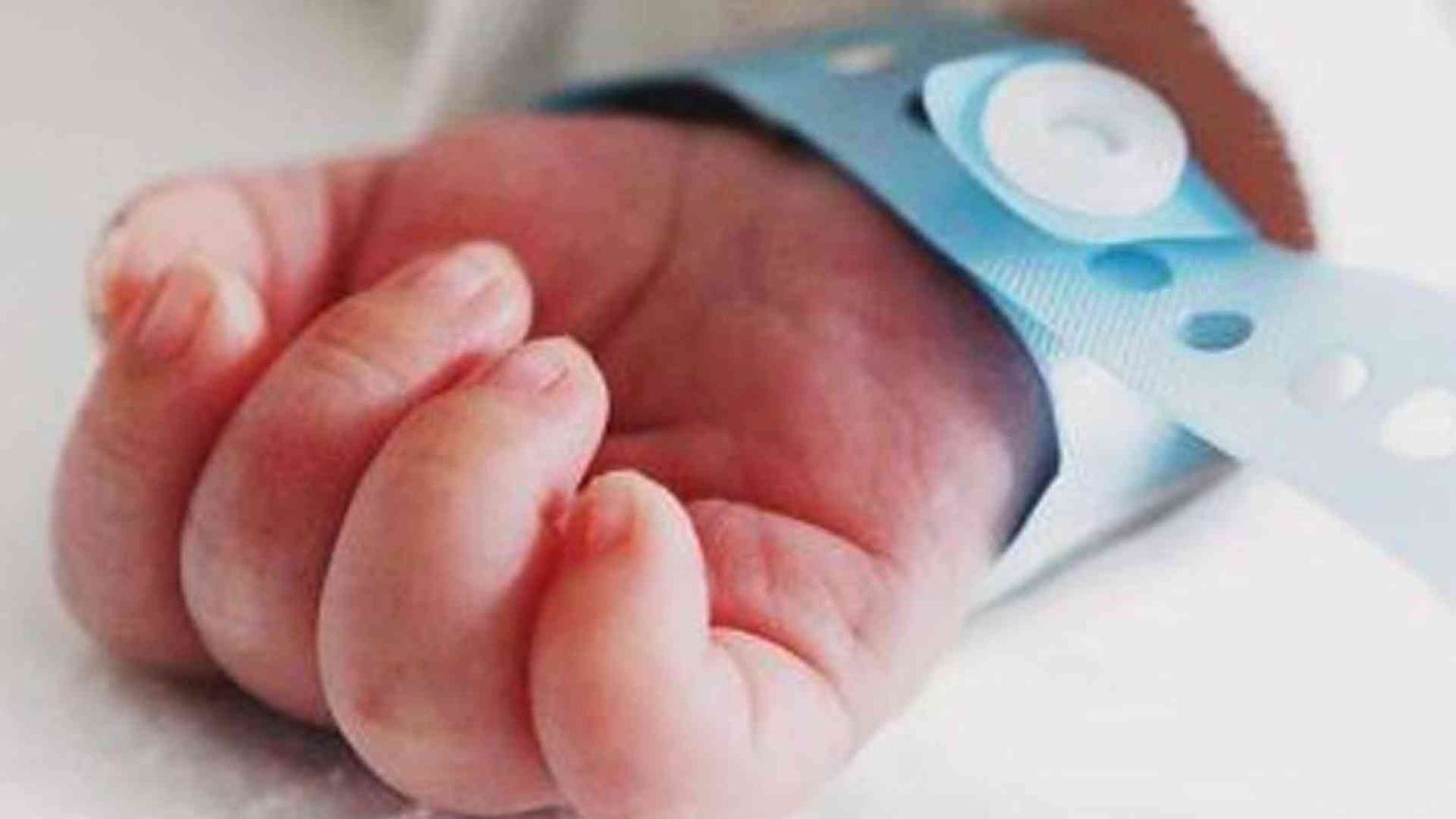 «Azzurra come Gianna Beretta Molla: una voce che ci parla nel profondo»