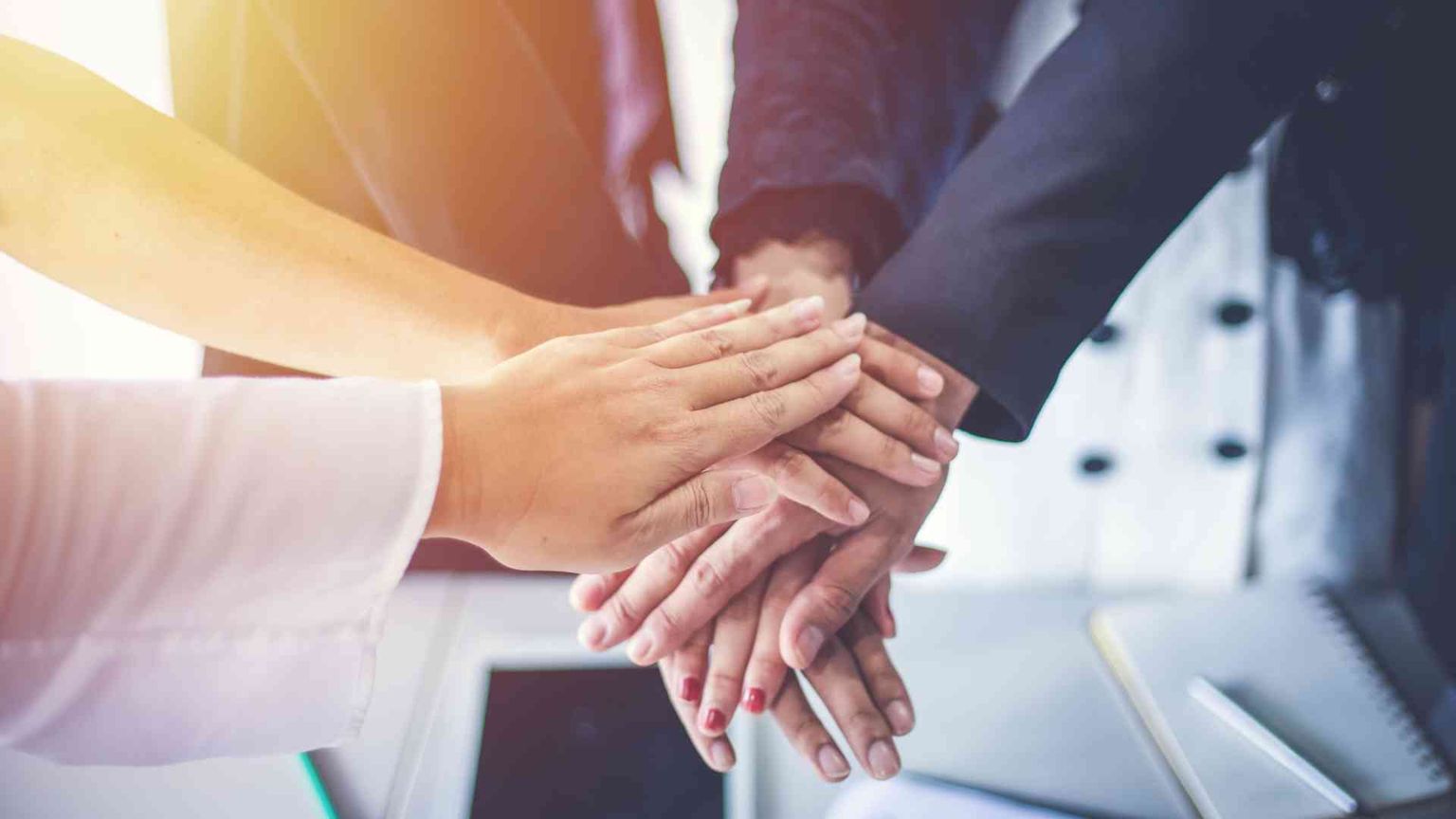 «Creare valore per tutti»: Nativa aiuta le imprese a essere rigenerative