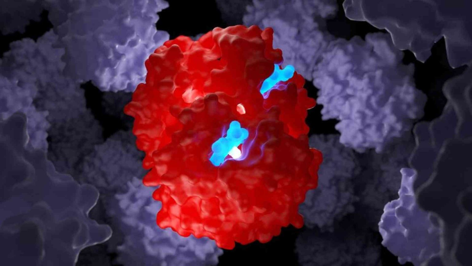Beta talassemia e anemia falciforme, con le “forbici molecolari” si può guarire
