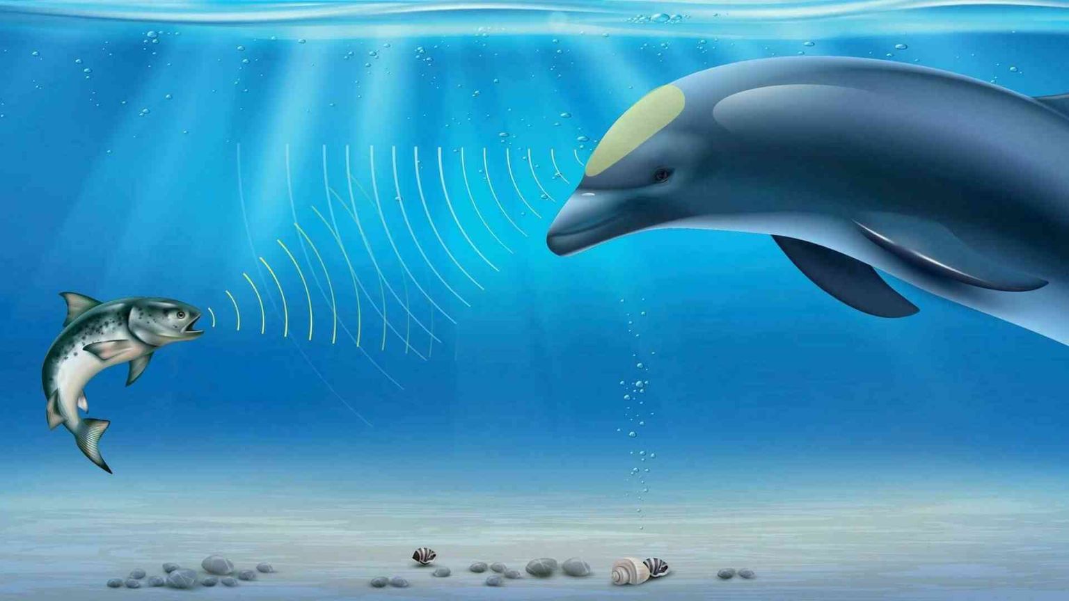 Senti chi (non) parla: la biodiversità a prova di Ecoacustica