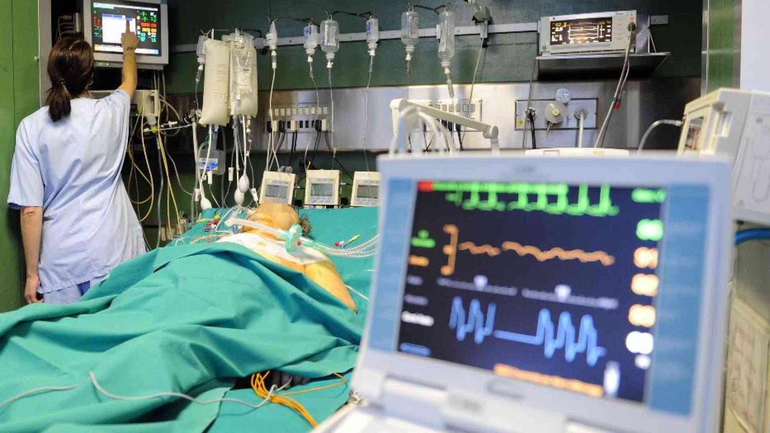 L’incidente, la morte a 22 anni: ma con i suoi organi salva altre sette vite