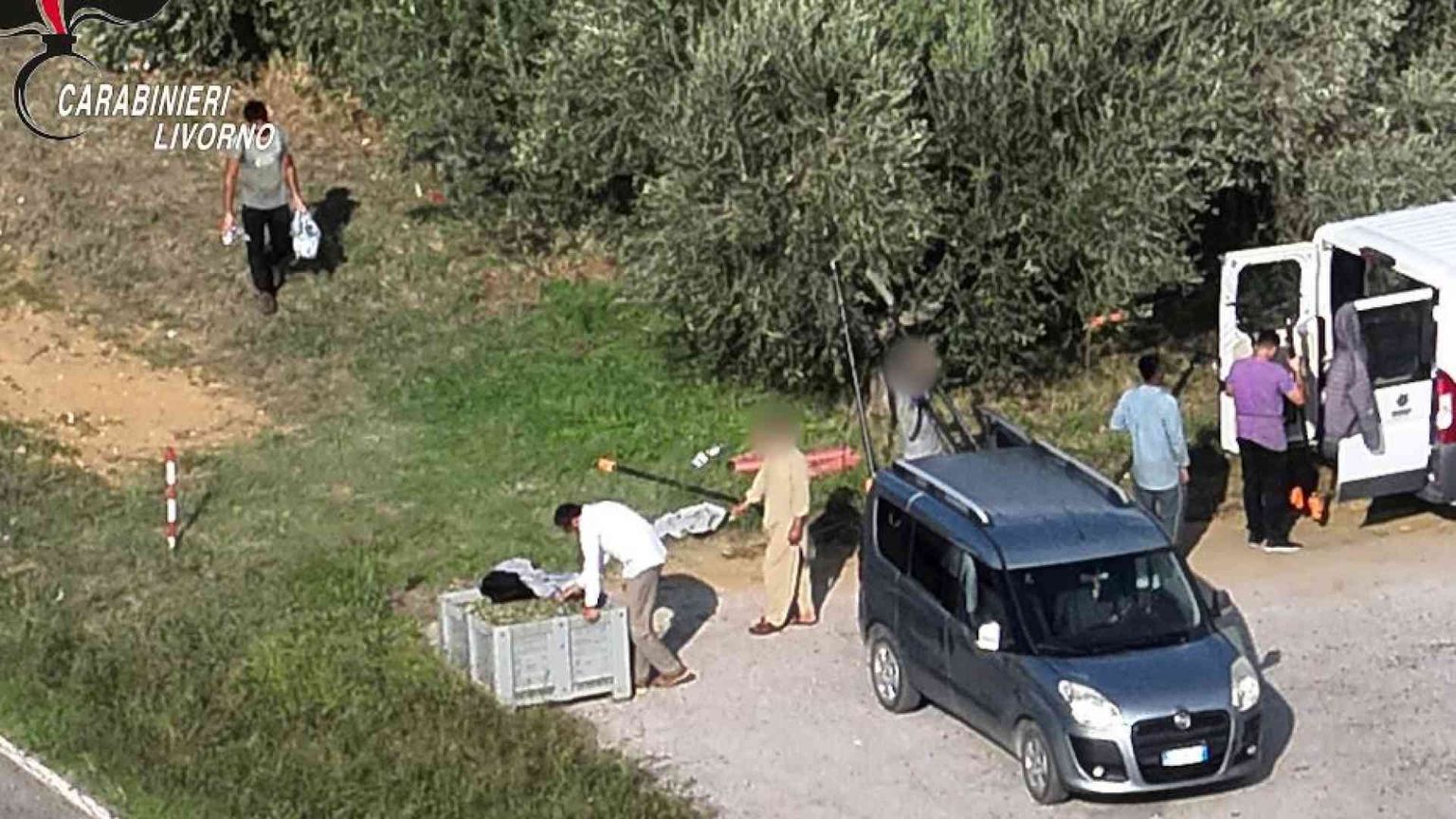 Caporalato nei campi toscani: 10 ore al giorno per pochi euro