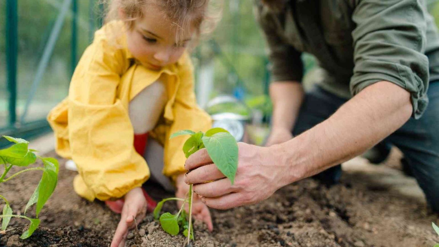 Gli italiani rinunciano ai figli perché sono più in ansia per il clima