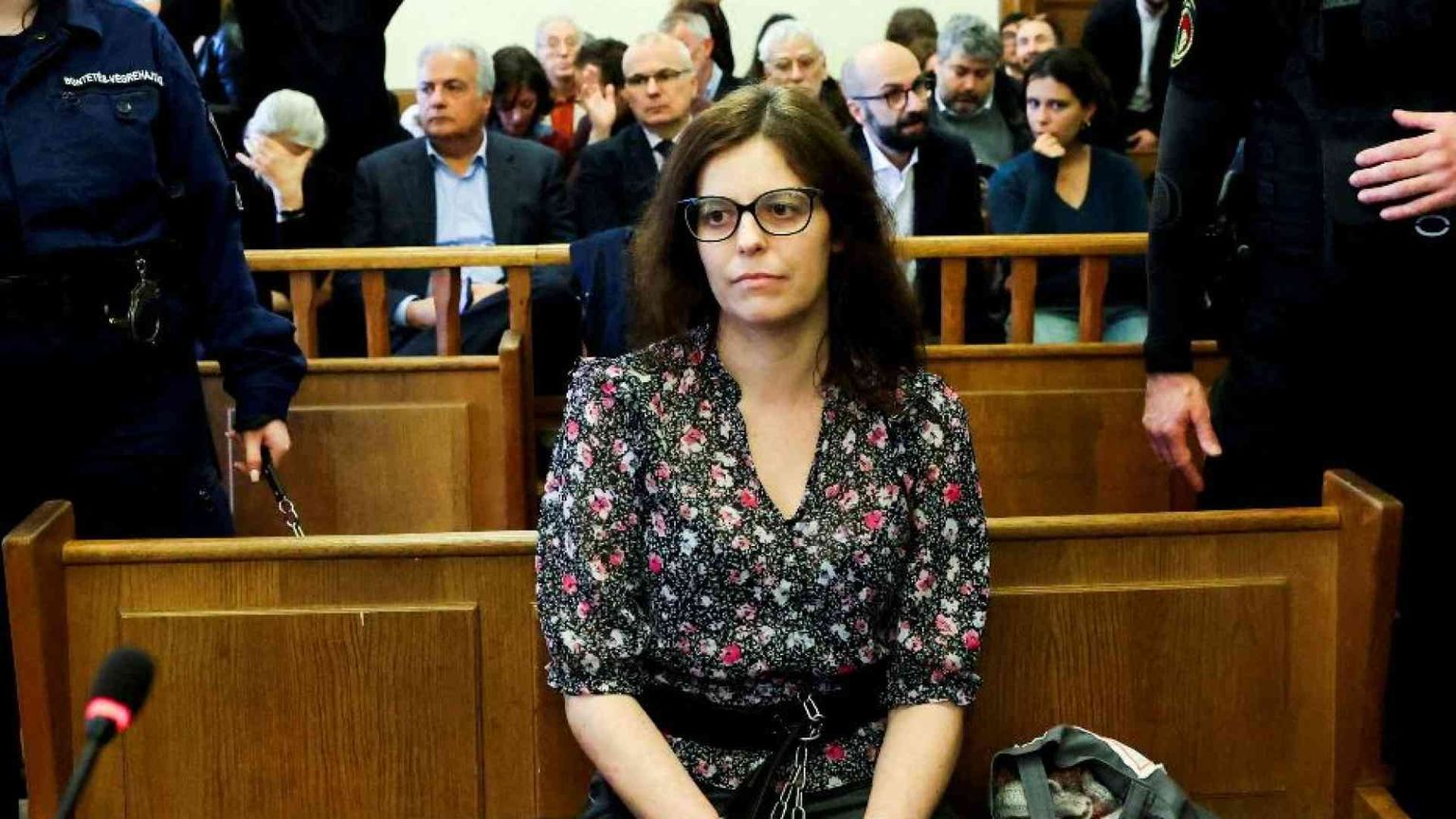 Dall'arresto alle catene in aula: ecco le tappe della vicenda Salis