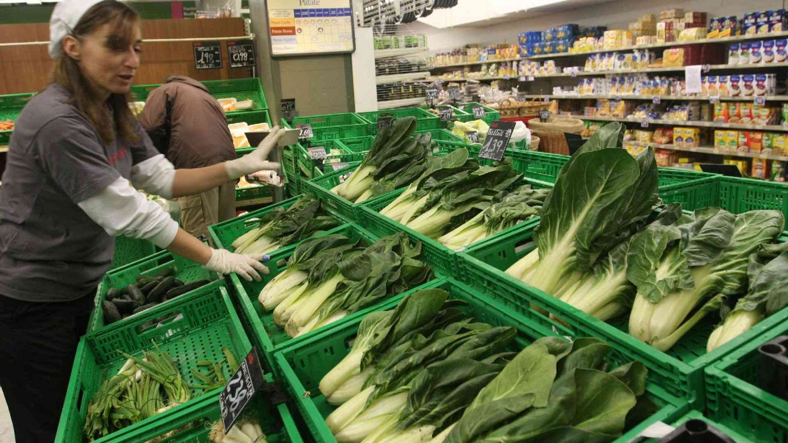 Così micro e nanoplastiche entrano nelle nostre insalate