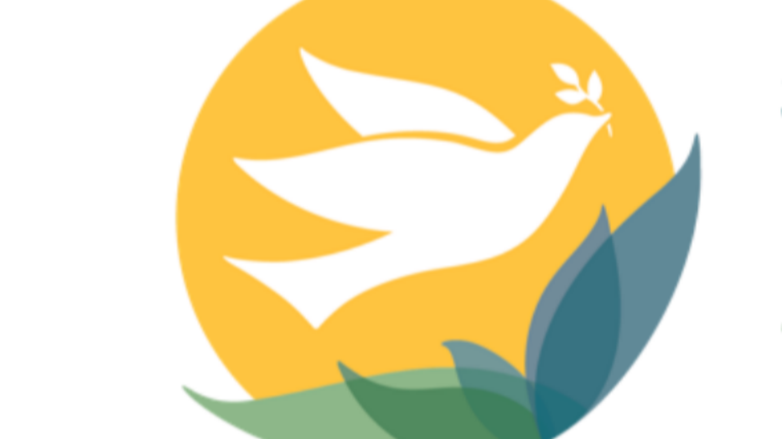 Cure palliative, forum internazionale in Canada