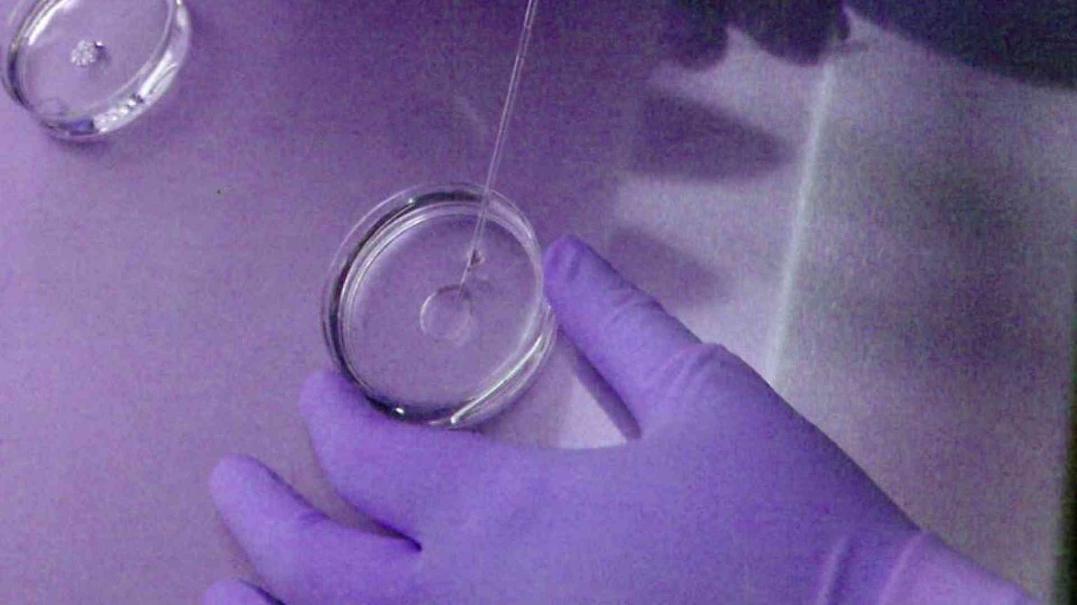 Embrioni, eterologa, spese di conservazione: le nuove regole del Ministero