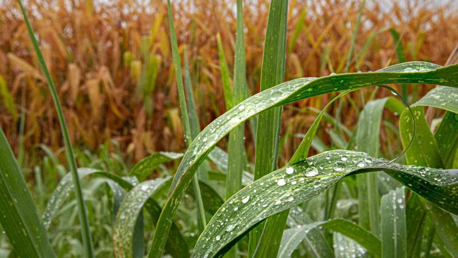 Il riscaldamento climatico è una bufala? La nostra risposta a un lettore