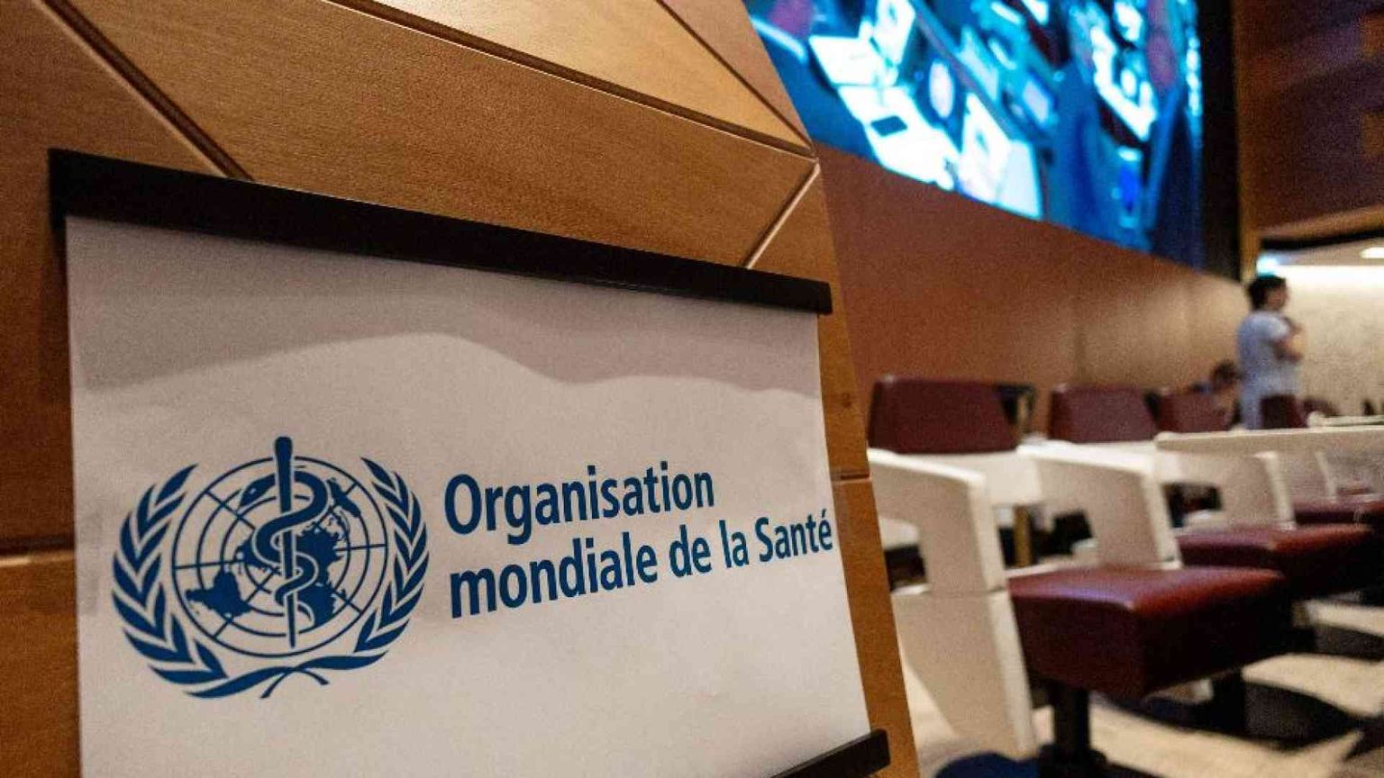 Verso un vaccino contro l’influenza aviaria. «Preveniamo una nuova pandemia»