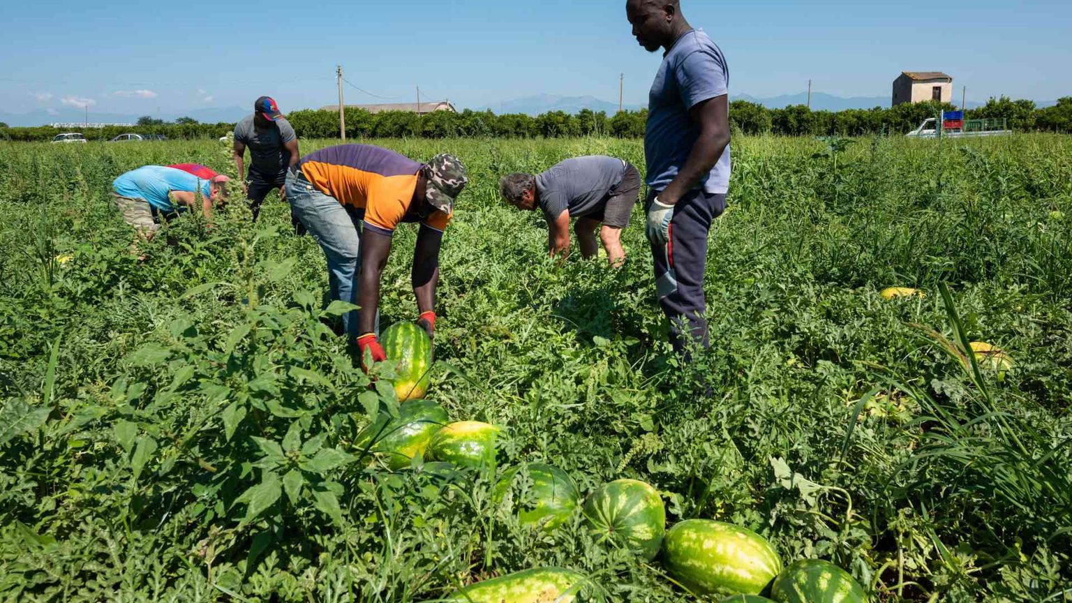 Colletti bianchi e false pratiche, ecco lo schema delle frodi