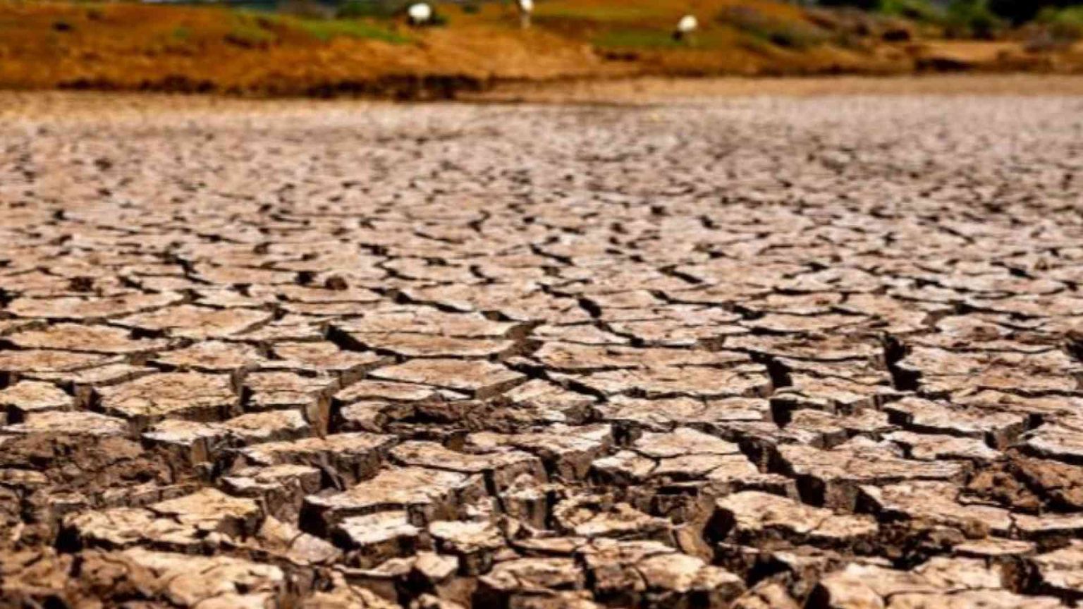 Oggi la Giornata dell'ambiente. La sfida di fermare il deserto
