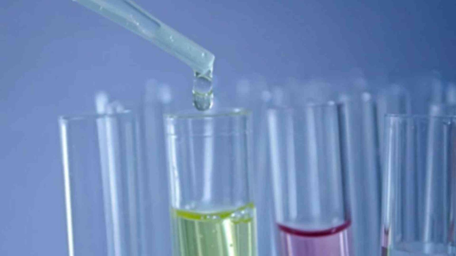 Parolin: sulla sindrome di Down più cure rispettose della dignità