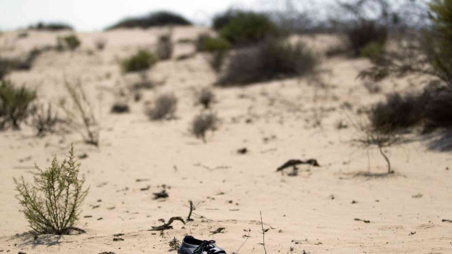Il video choc girato nel deserto: «Decine di morti tra Egitto e Libia»