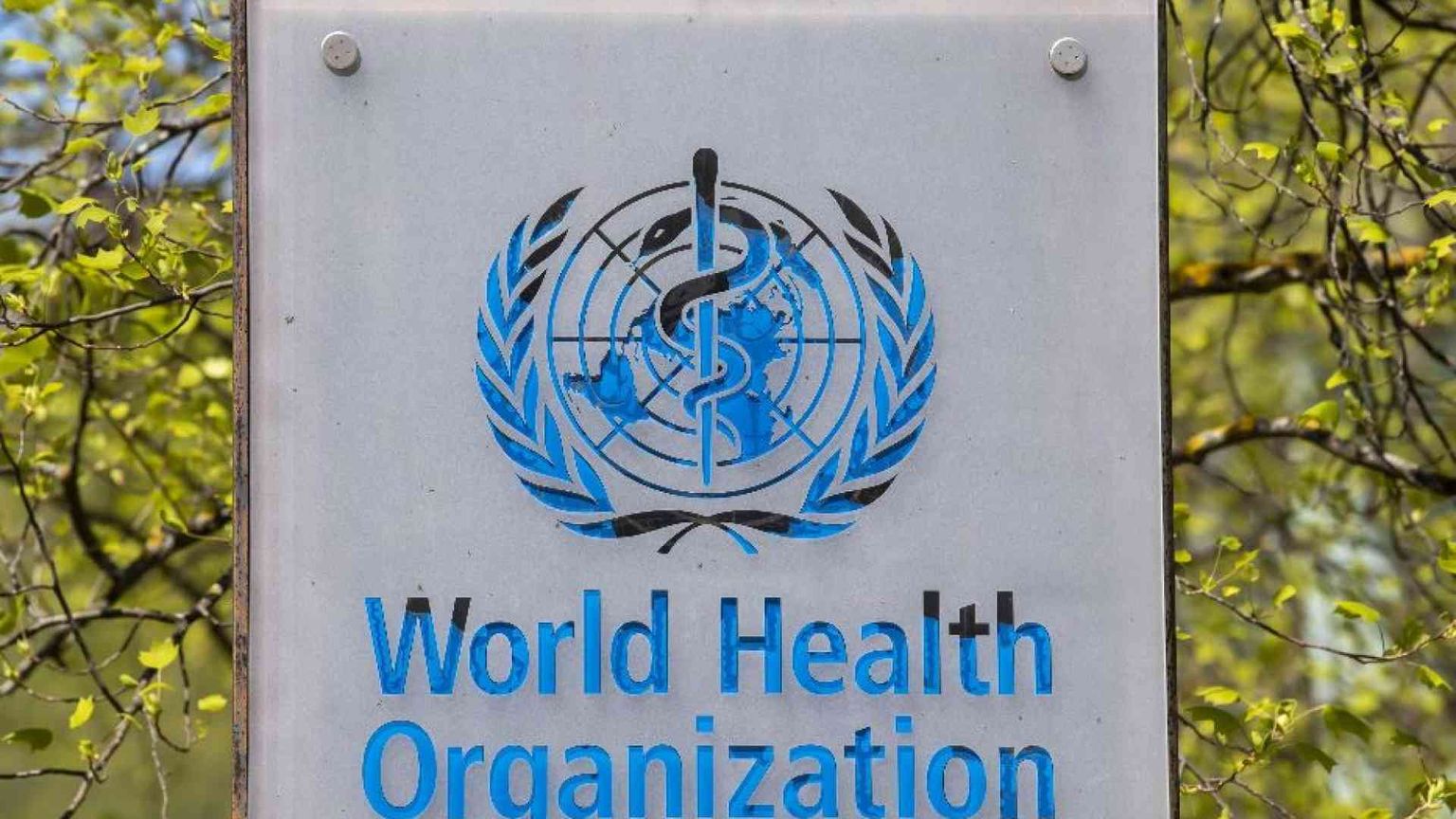 L’Ue prenota vaccini, l’Oms non si accorda. E il virus cosa fa?